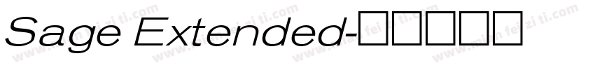 Sage Extended字体转换
